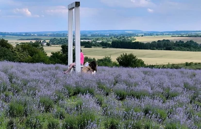 На Львівщині подружжя висадило рекордні лавандові пагорби  на території древнього городища 